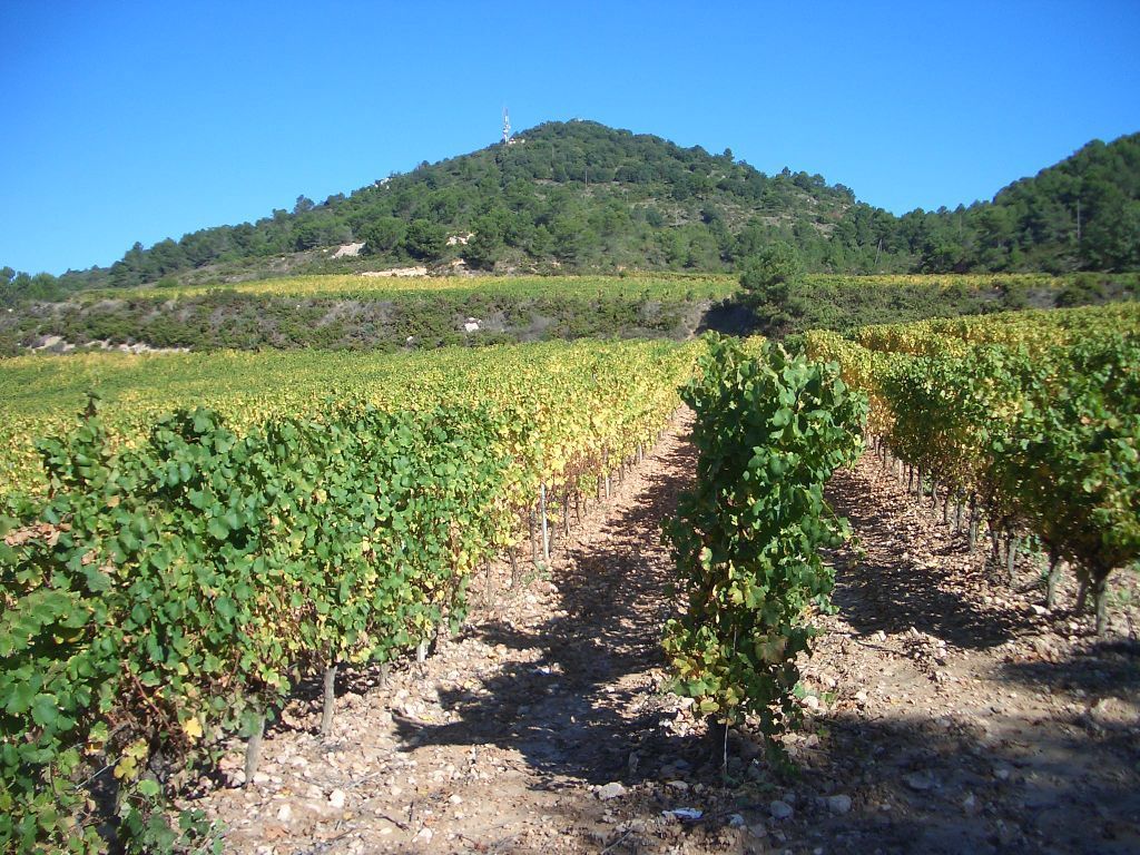 garrotxa07 023.jpg